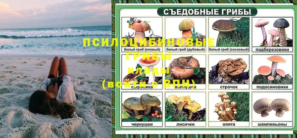 каннабис Новозыбков