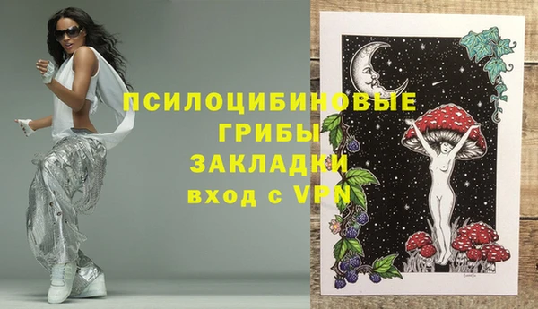первитин Нея